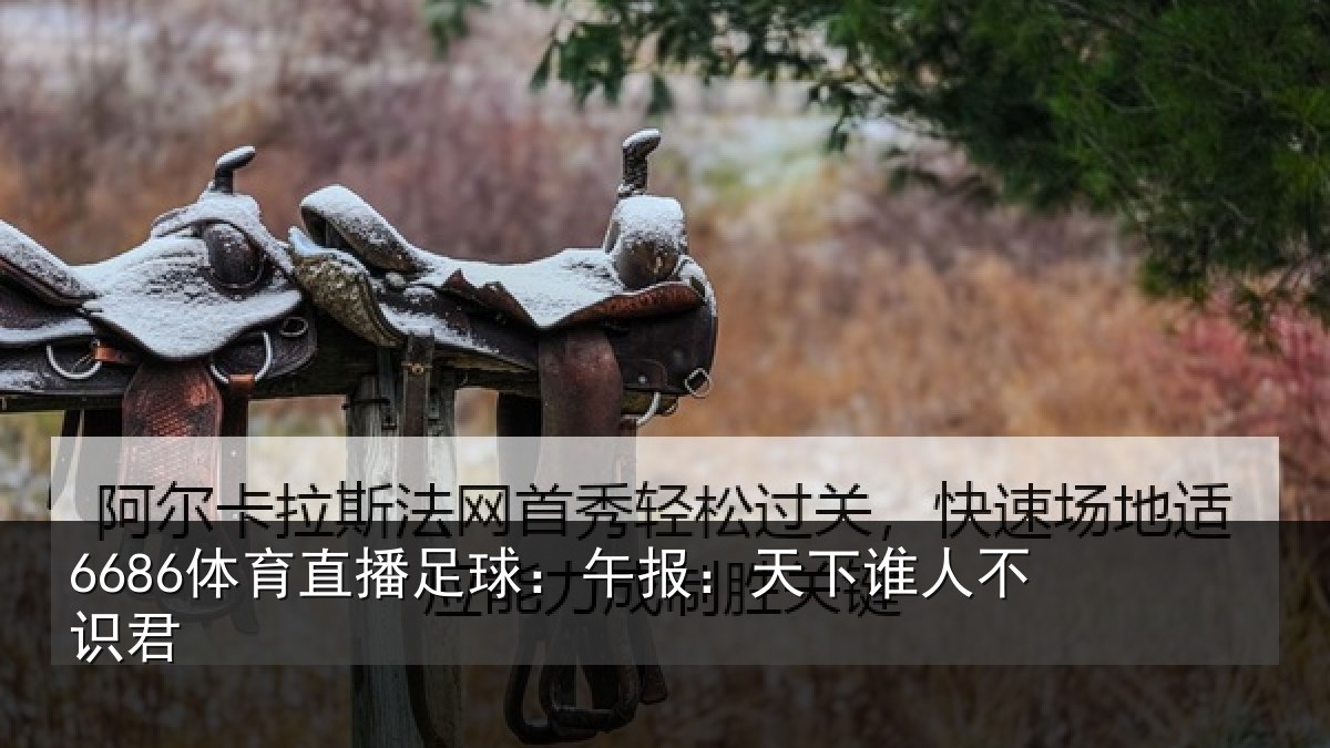 6686体育直播足球：午报：天下谁人不识君
